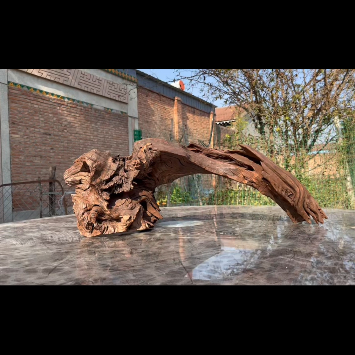 尺寸75×23×23 鱼缸造景沉木摆件，紫柚木，秒沉包煮，树桩沉木