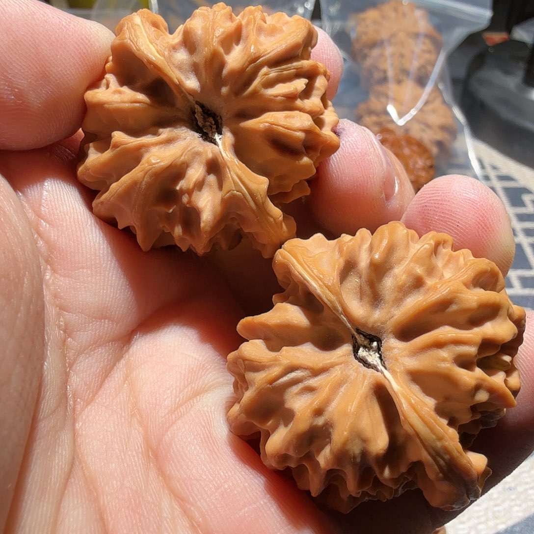 文玩核桃把件曹大龙