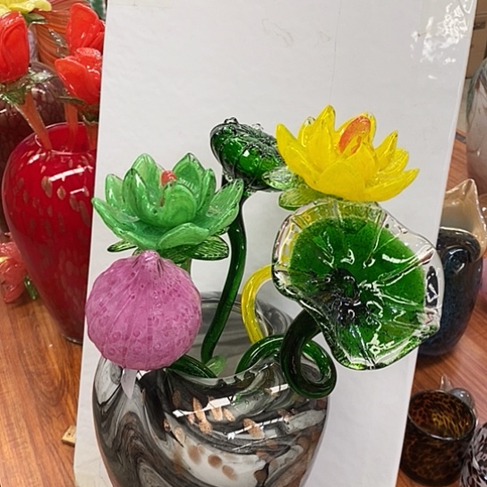 琉璃夜光花高45厘米