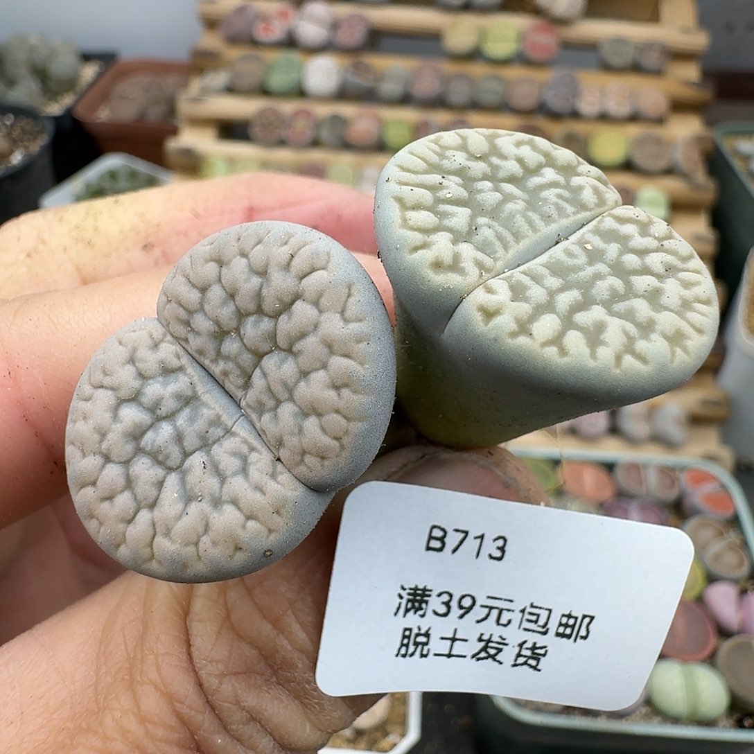 713腿长介意勿拍的人