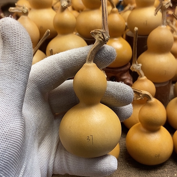 文玩葫芦 完美主义者 慎拍37