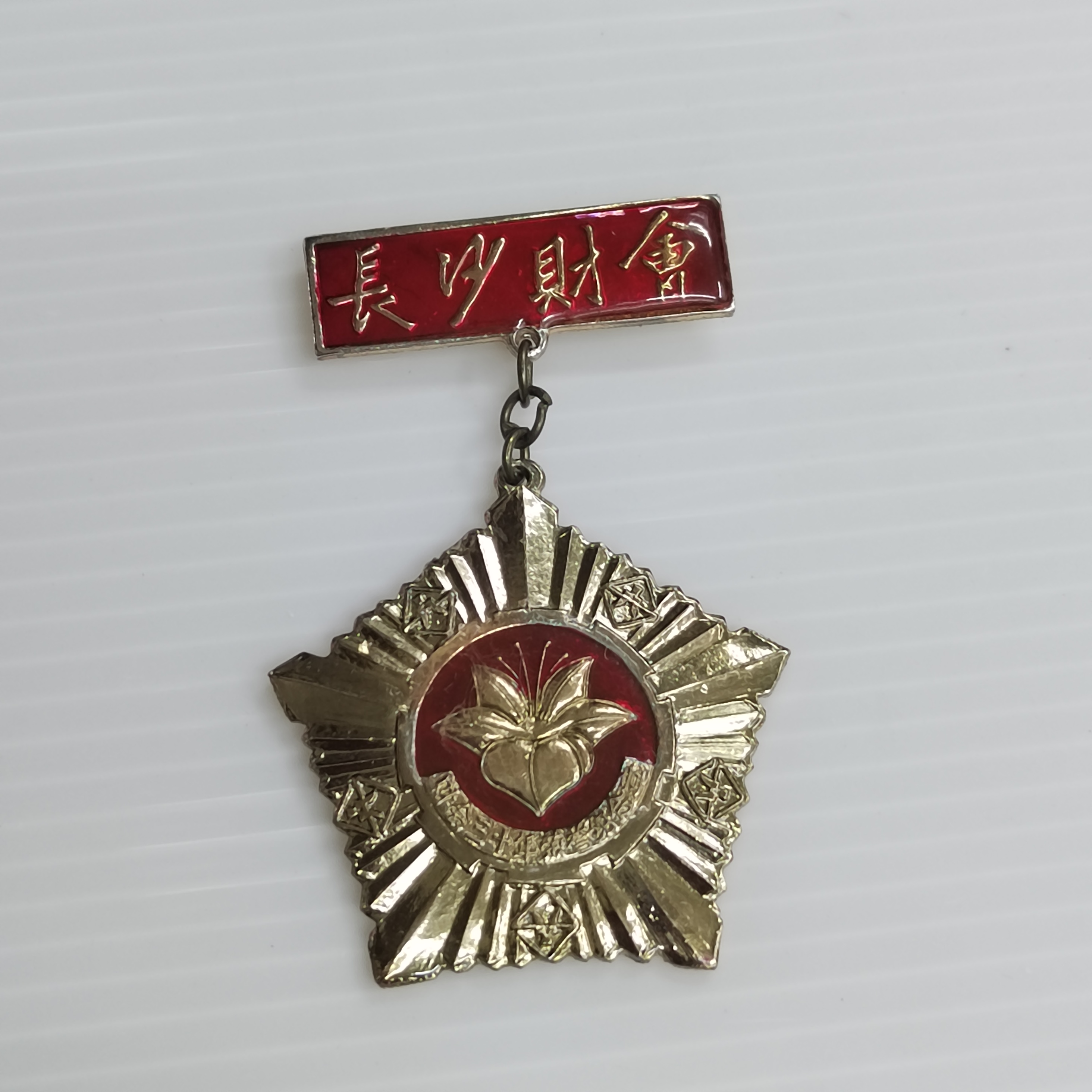 八十年代  湖南财会奖章