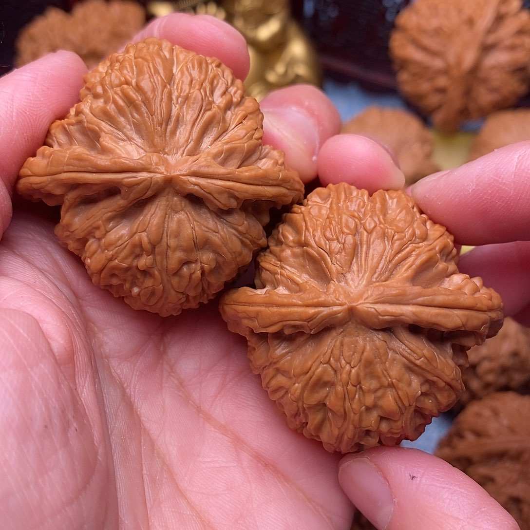 文玩核桃把件毕业绝配肉球白狮子44尺