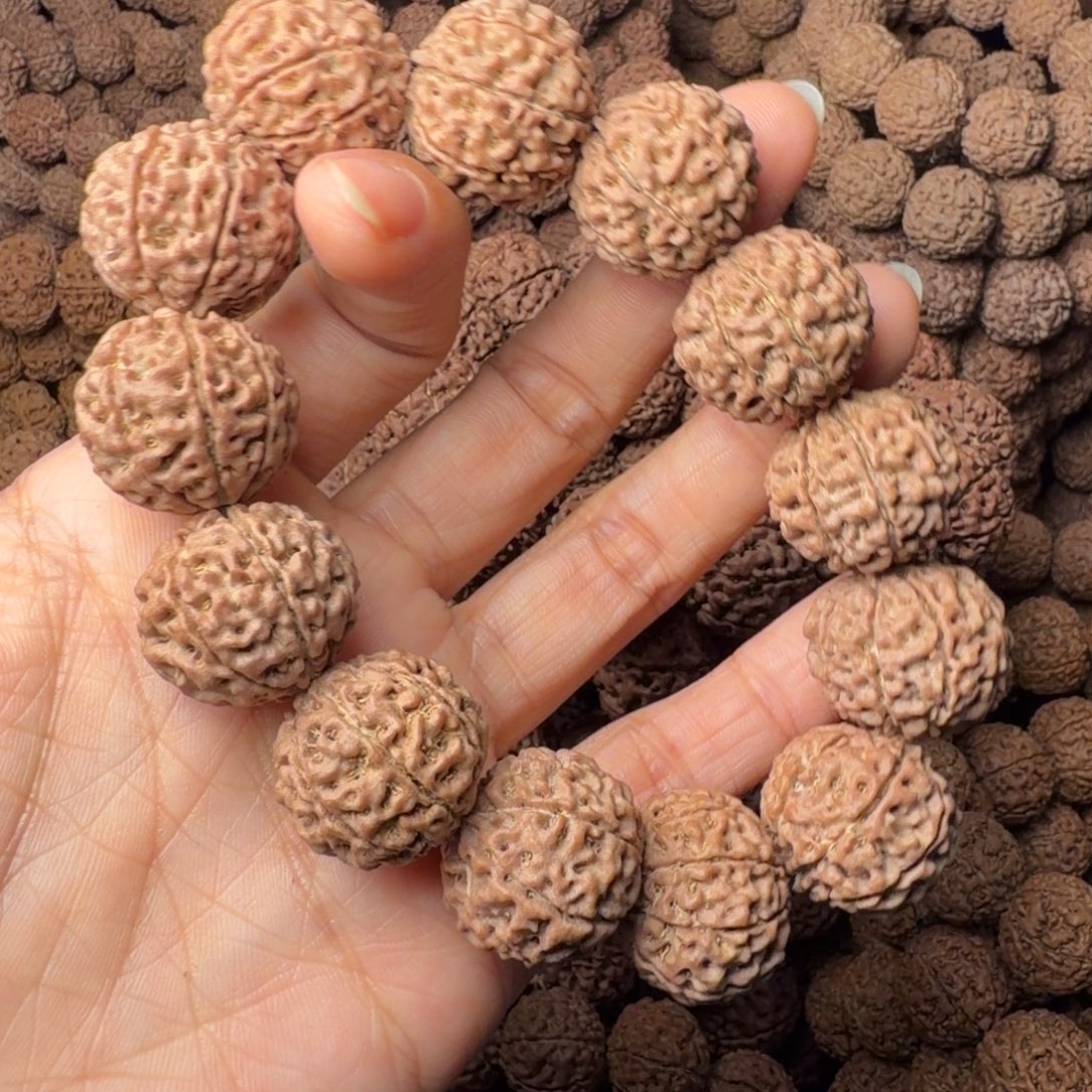 金刚菩提手串8瓣卡20尺，6号