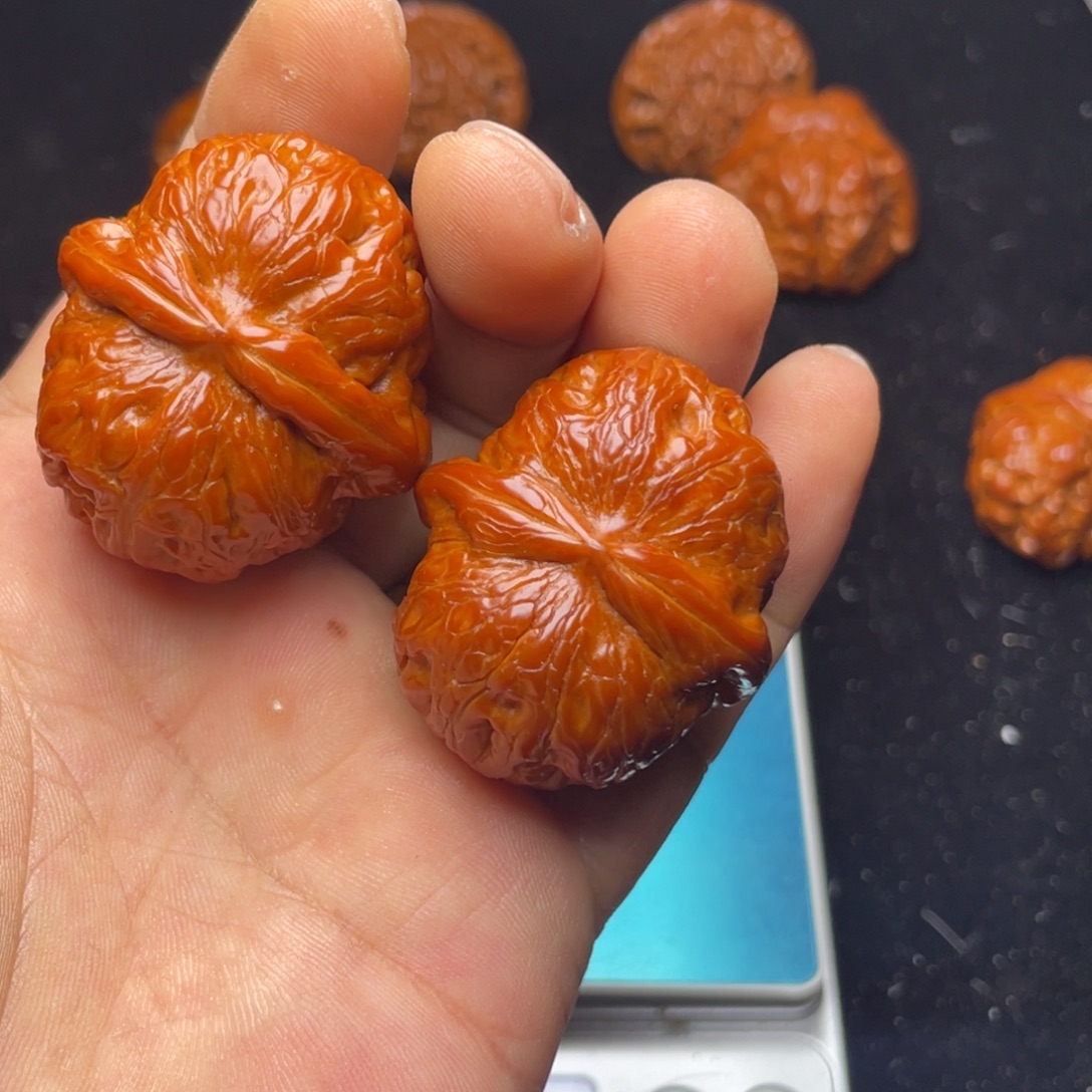 海***象吊坠文玩核桃大李子1281