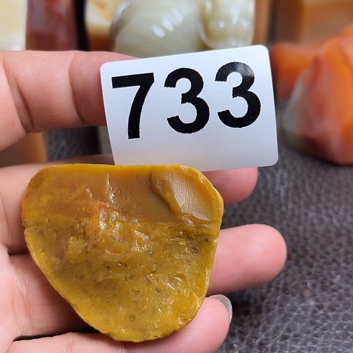 海***豚老挝石精美的老挝田