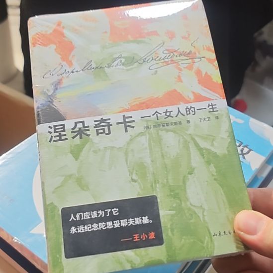 涅朵奇卡，一个女人的一生，精装塑封。