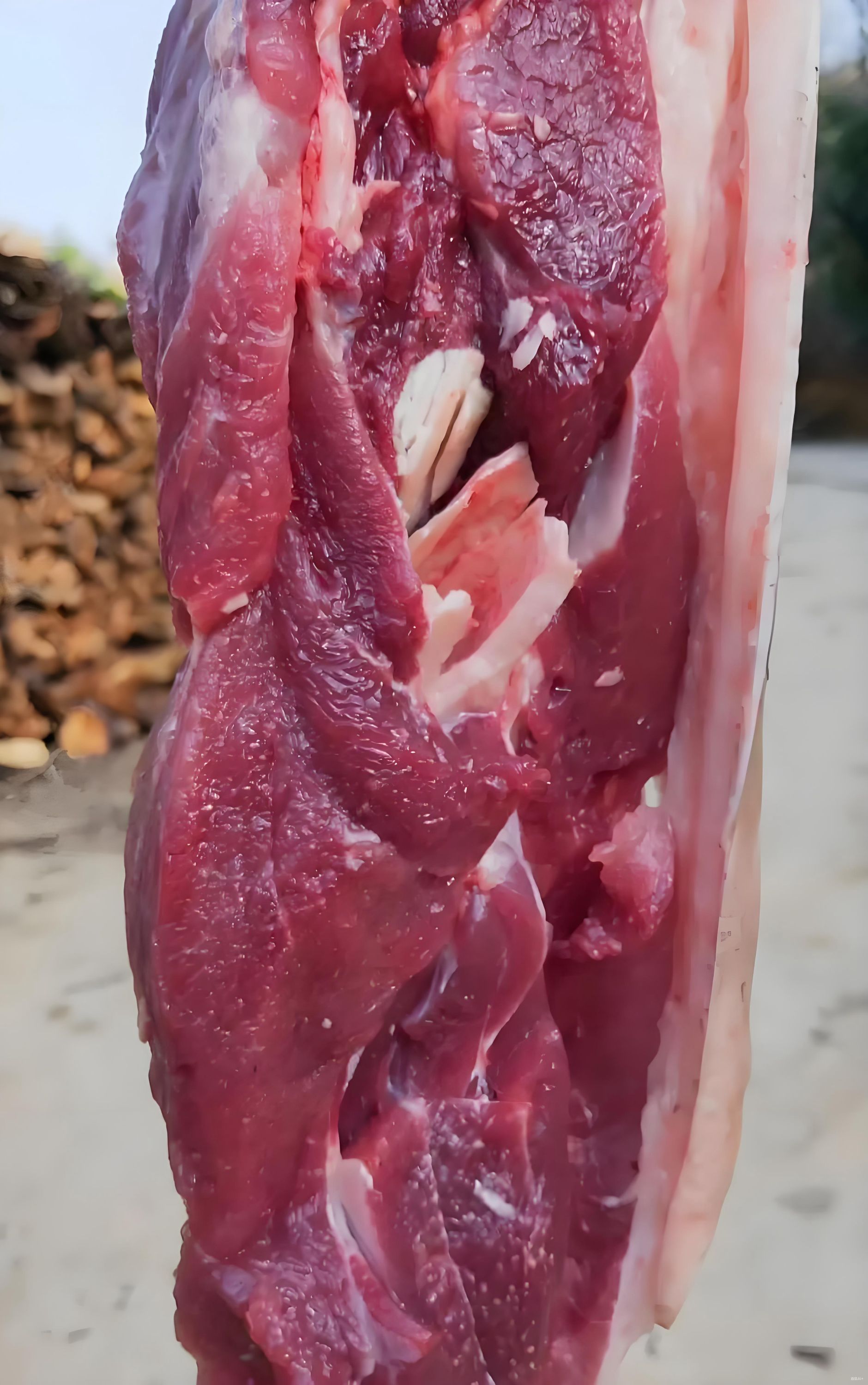 恩施高山粮食猪黑白土猪前后腿肉梅花肉直播间现选现称