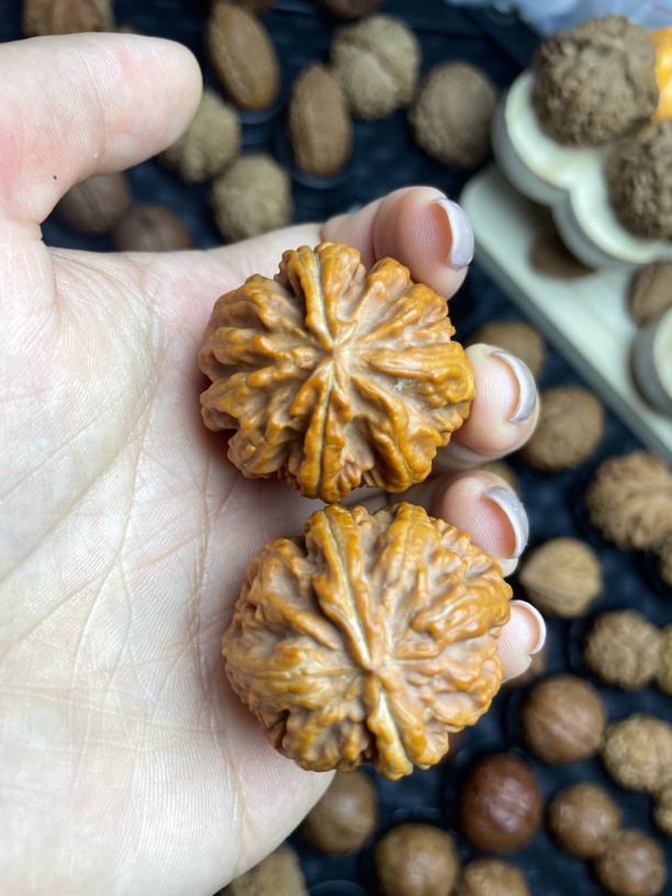 全品三棱文玩核桃玉龙粗筋精选配对