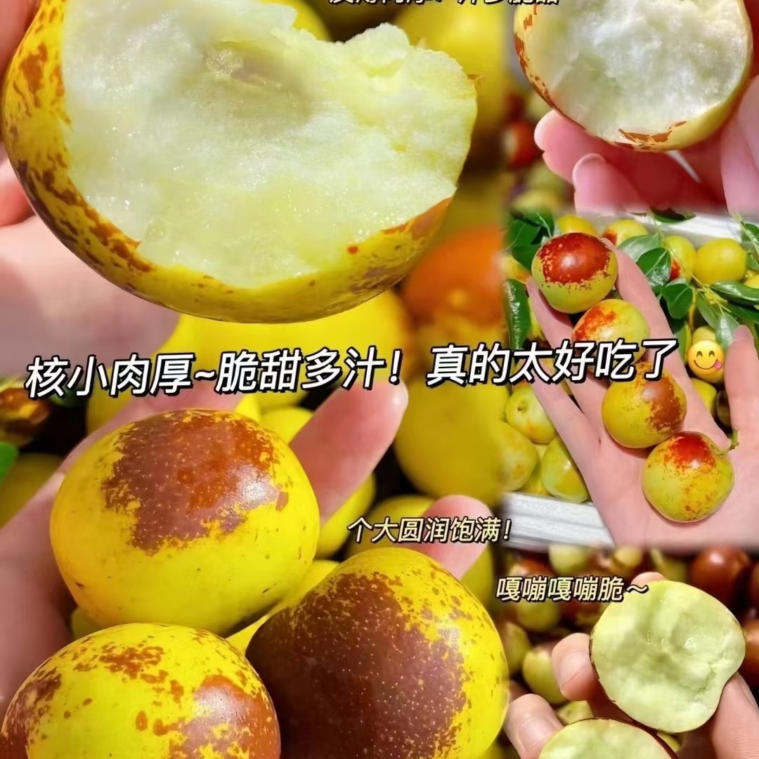 冬枣脆甜一盒2.5斤大果