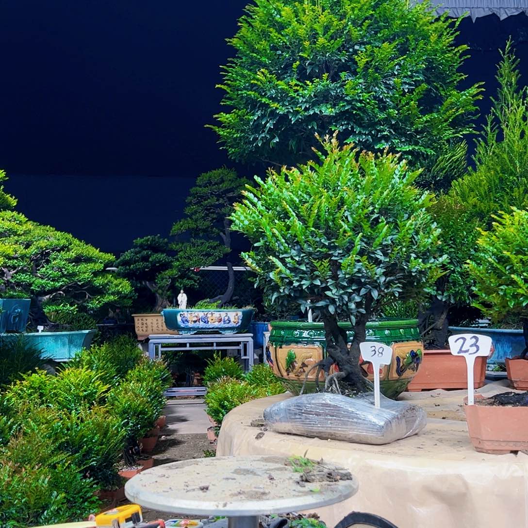 以实际为准深****司12345678