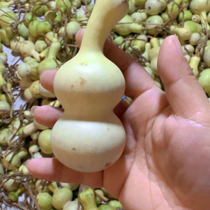 小***品手把件葫芦摆件葫芦