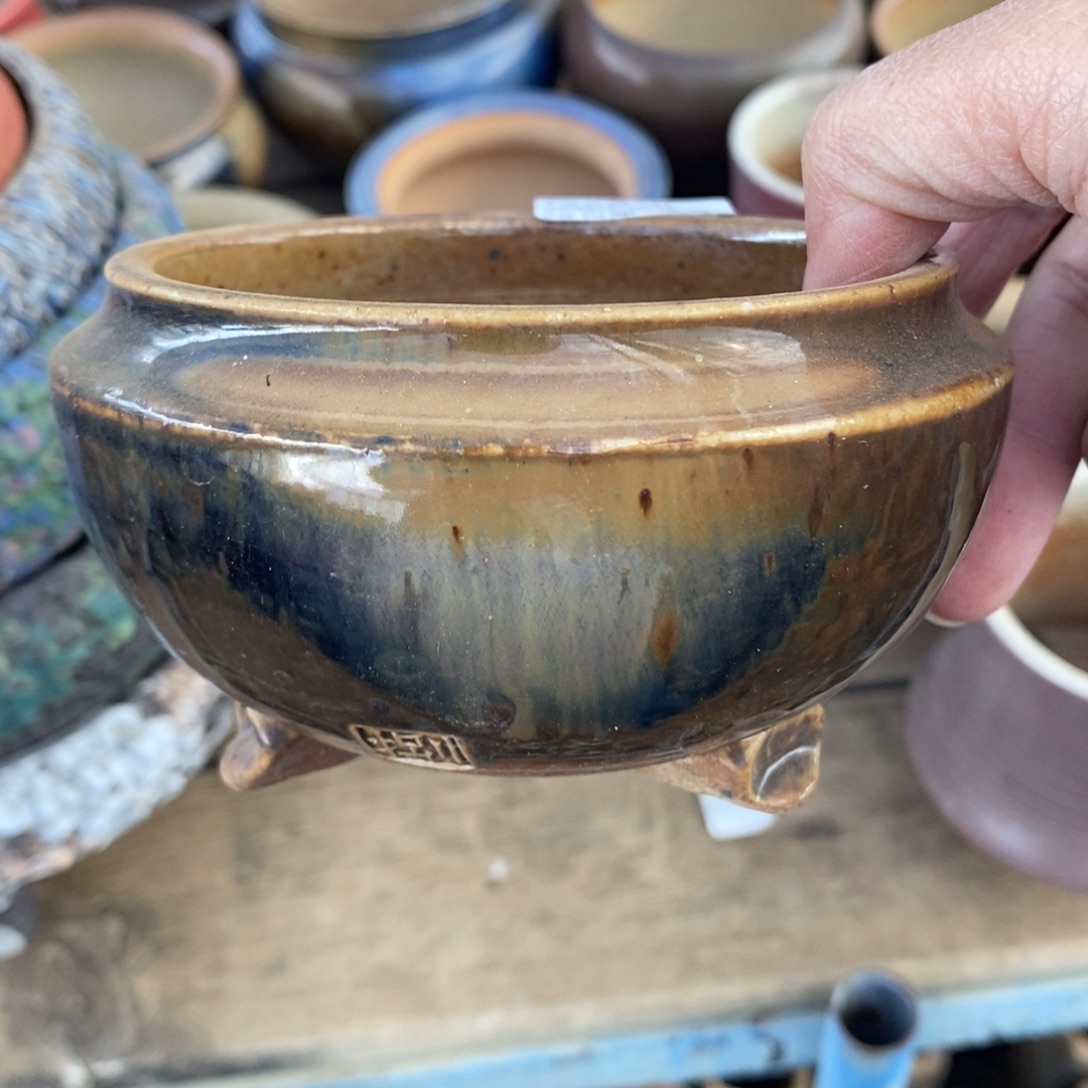 8号多肉盆口径10捌家