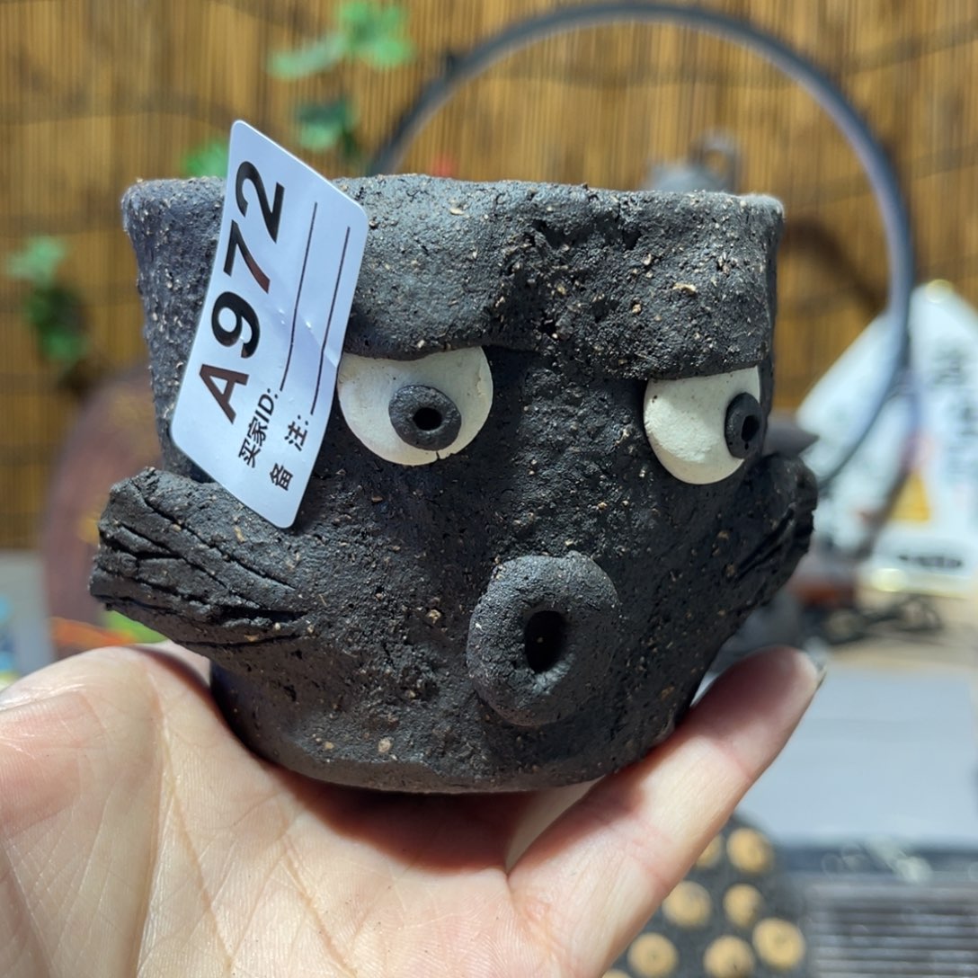 木村信弘柴烧保平