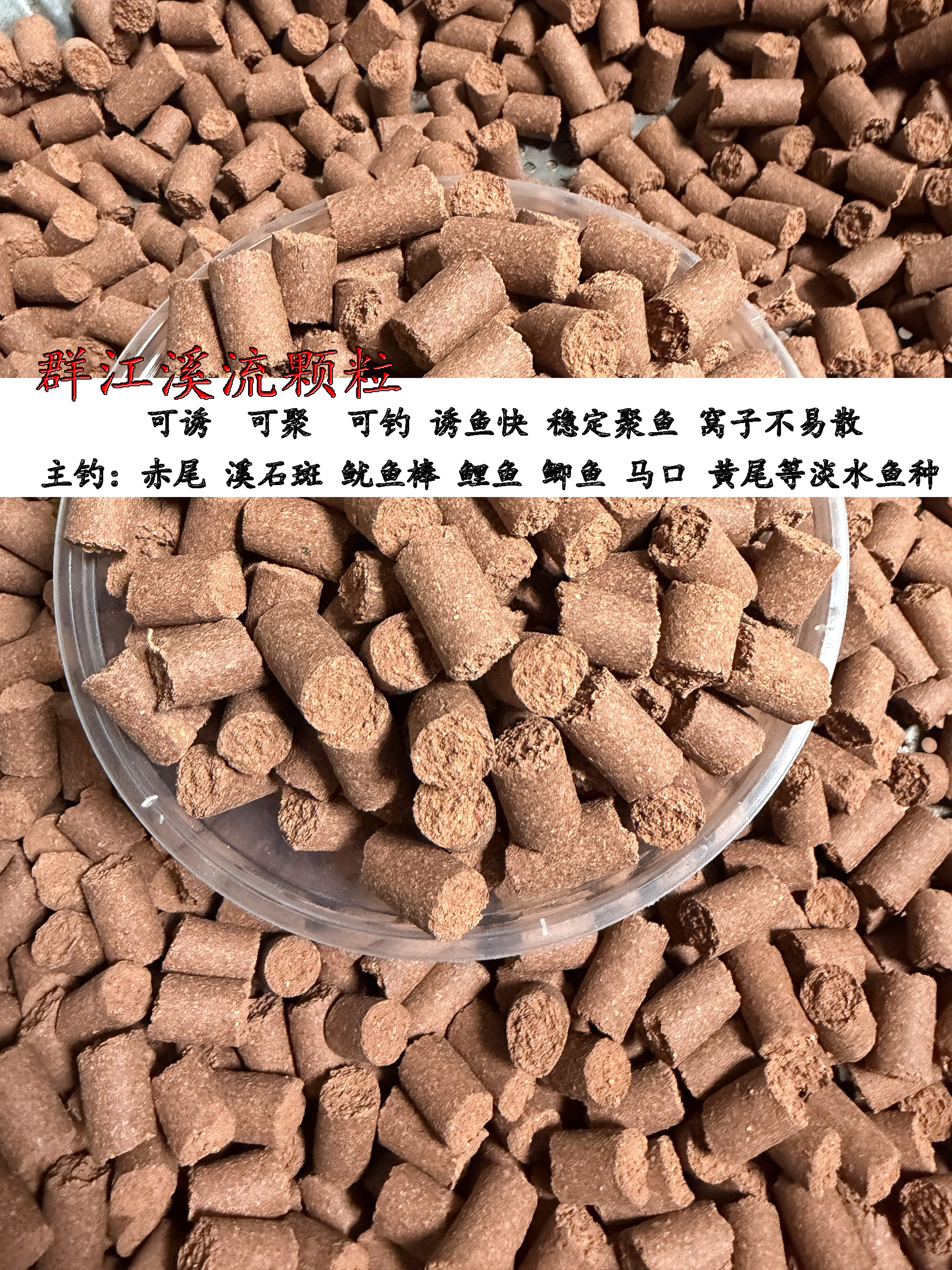 群江溪流12毫米超大老颗粒易聚鱼留鱼赤尾石斑鲫鱼溪流鱼种