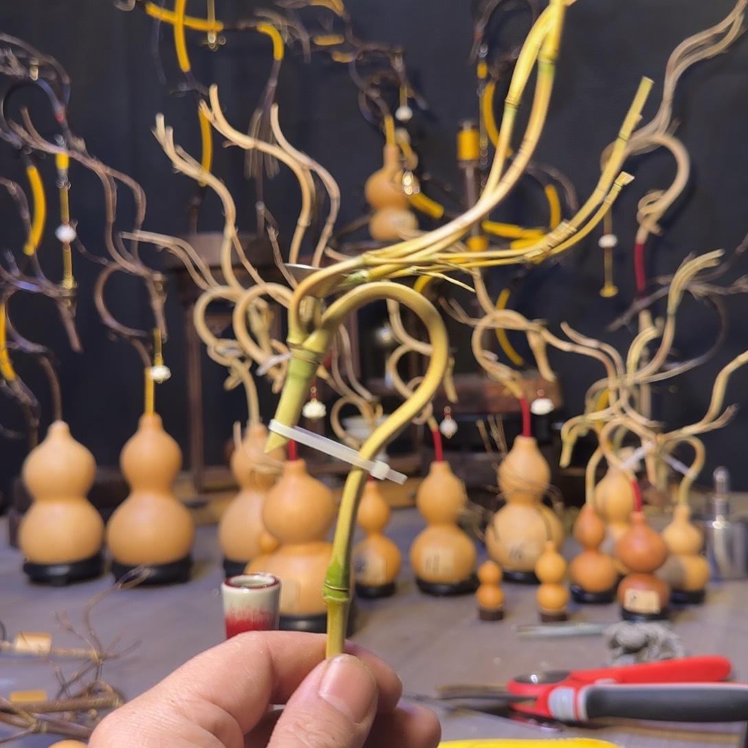 鹏***倒流香龙头一个带倒流