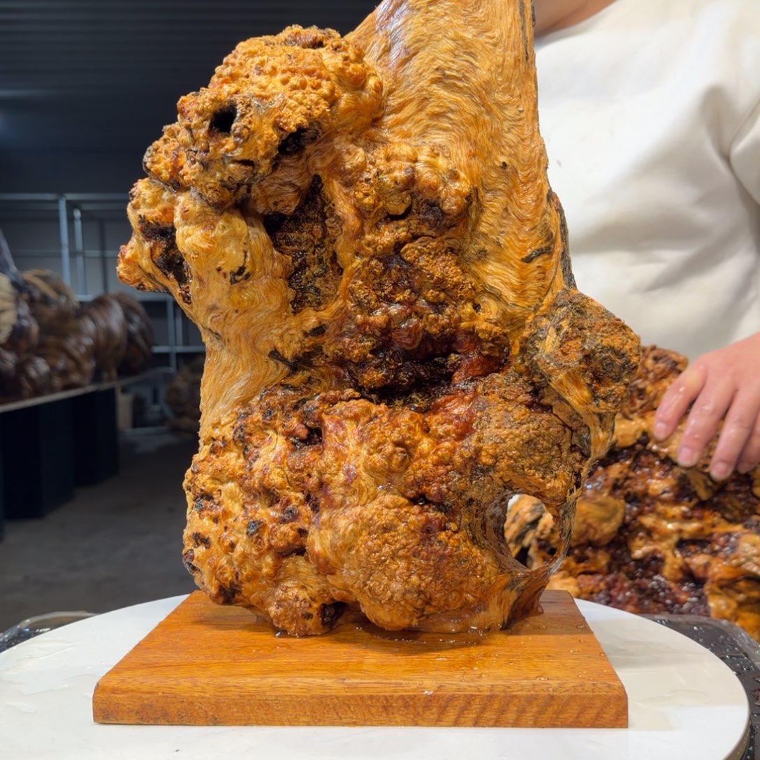 Y***#木王一刀琥珀木摆件100