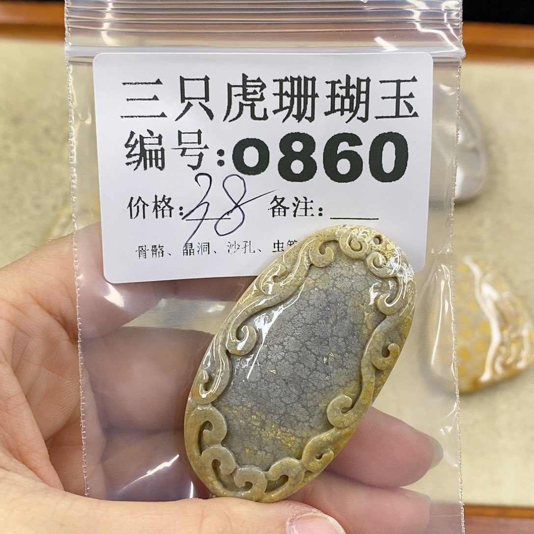 硅化珊瑚（珊瑚玉）1未镶嵌小*