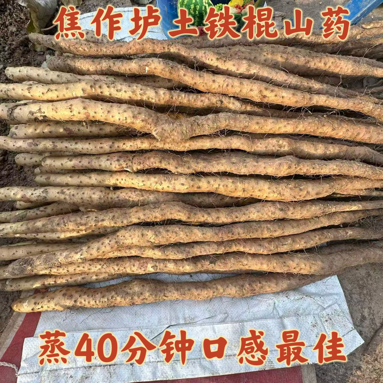【大乐鲜果 顺丰快递】河南焦作垆土铁棍山药5斤装