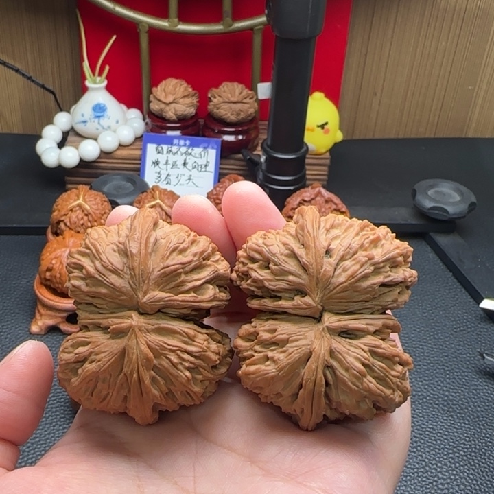 把件文玩核桃连体白狮子全品52