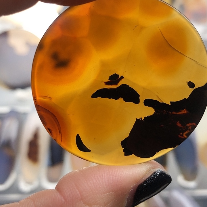 查罗石未镶嵌珠宝半成品142