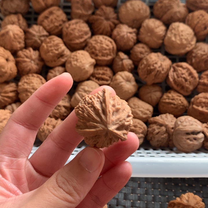 消***的文玩核桃把件文山