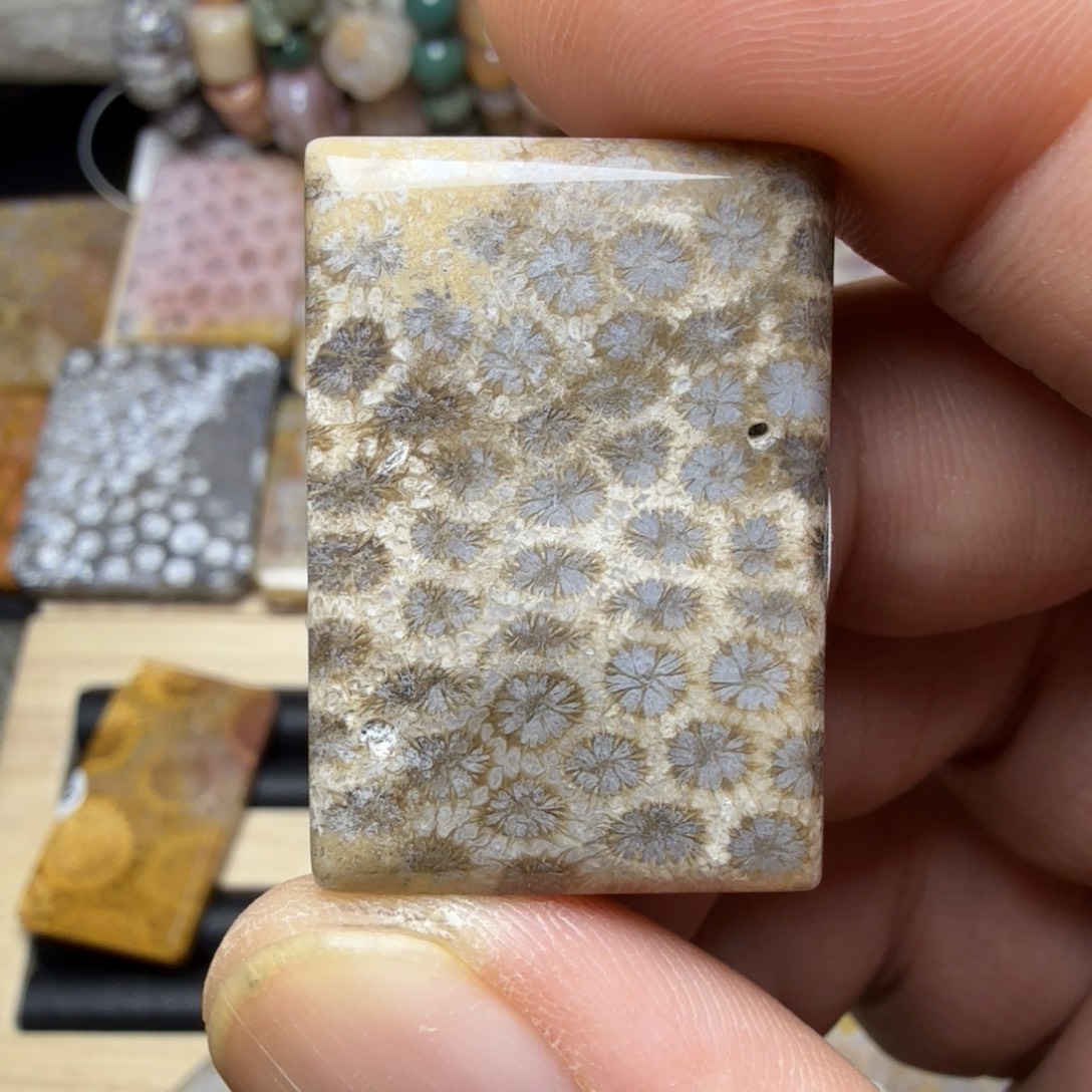 彩***鱼硅化玉未镶嵌纯天然色有机玉石保真色