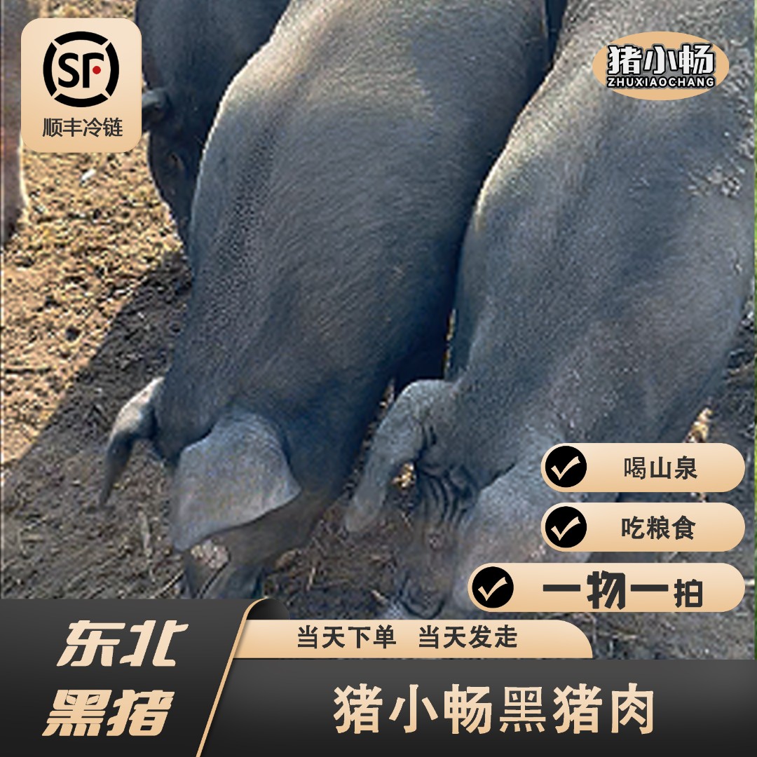 纯粮食散养大黑猪就是香.