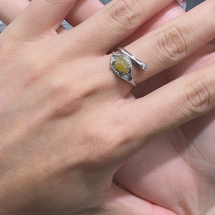 翡翠戒指银S925镶嵌njjkm