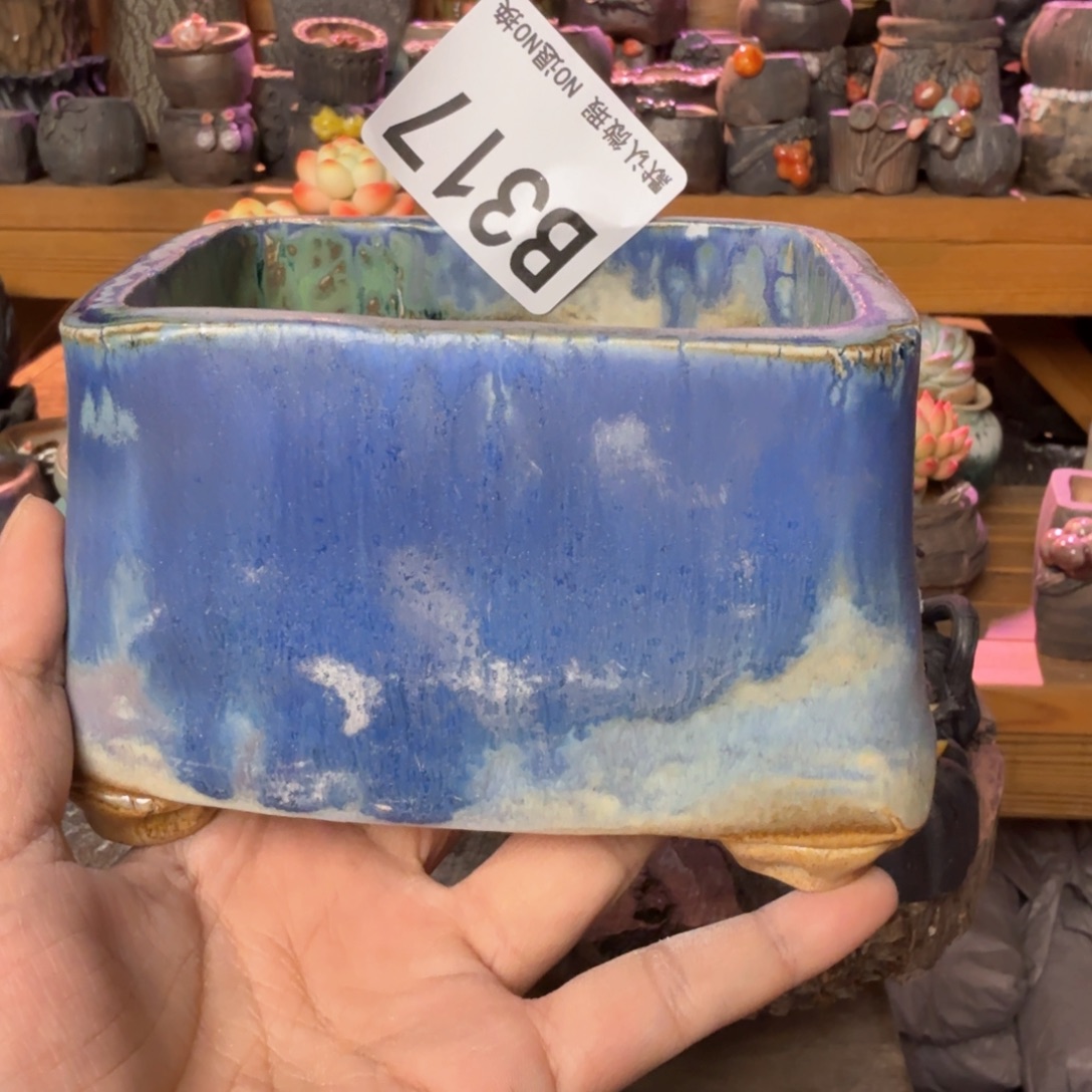 重庆小燕子欢迎大家317