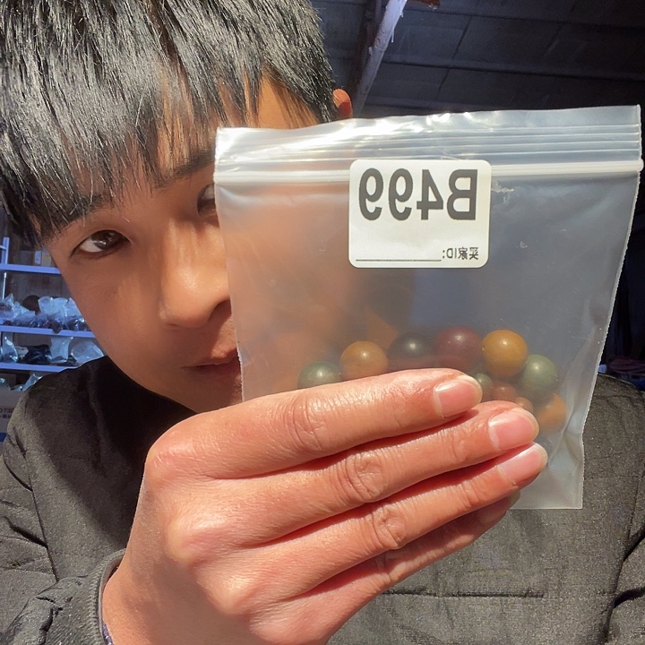 快***贝大果紫檀（缅甸花梨）499