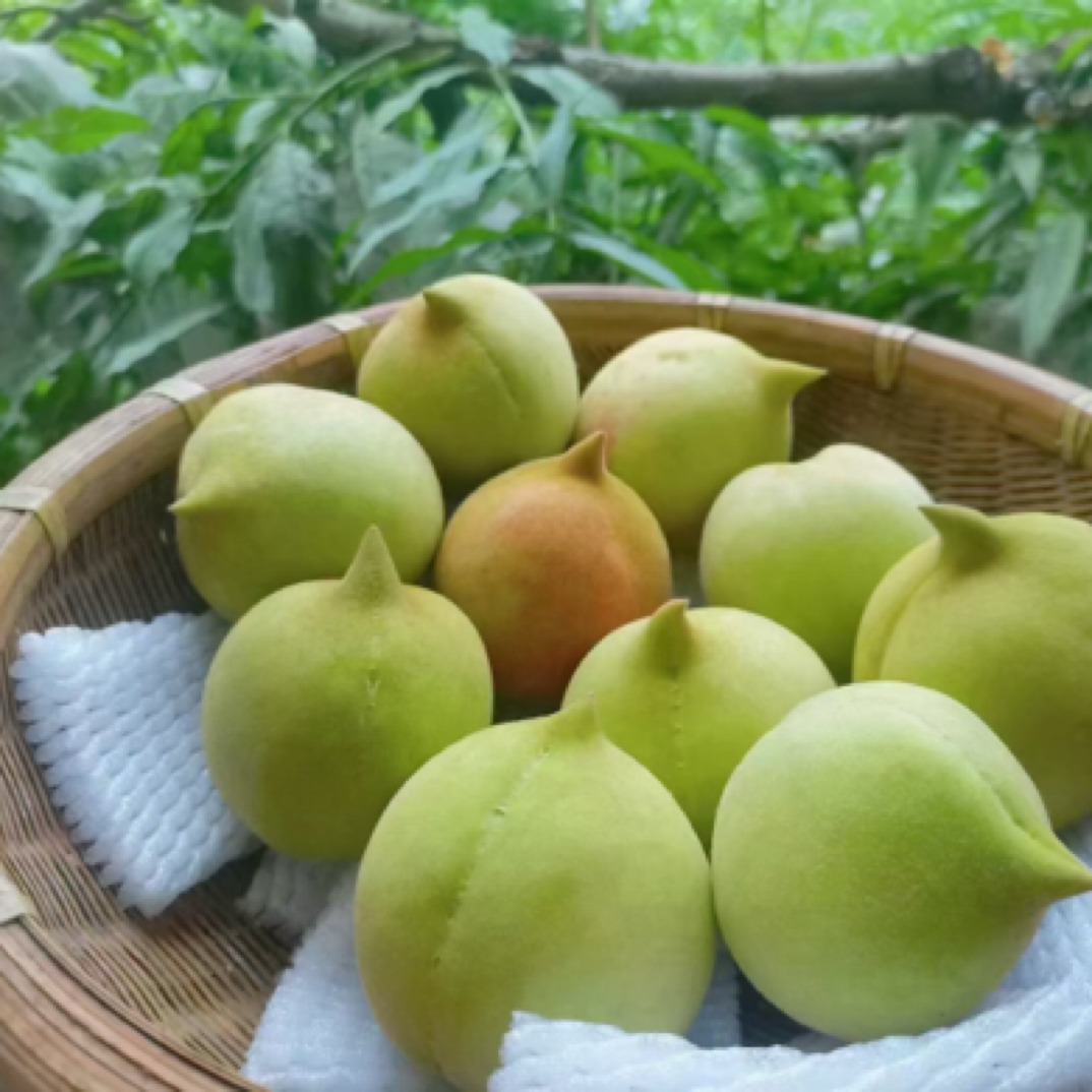 【整果】鹰嘴桃约900-1000g广东省