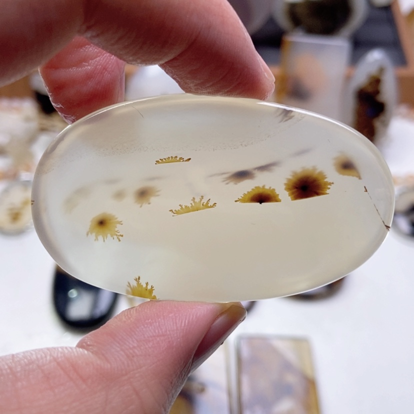 【闪购商品】玛瑙/玉髓颈饰未镶嵌