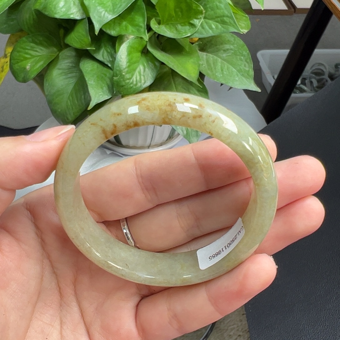 翡翠未镶嵌手镯5号52.7正圈