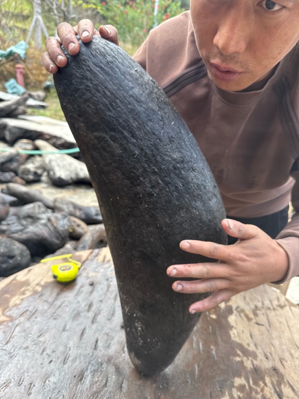 民间使用风化木阴沉木