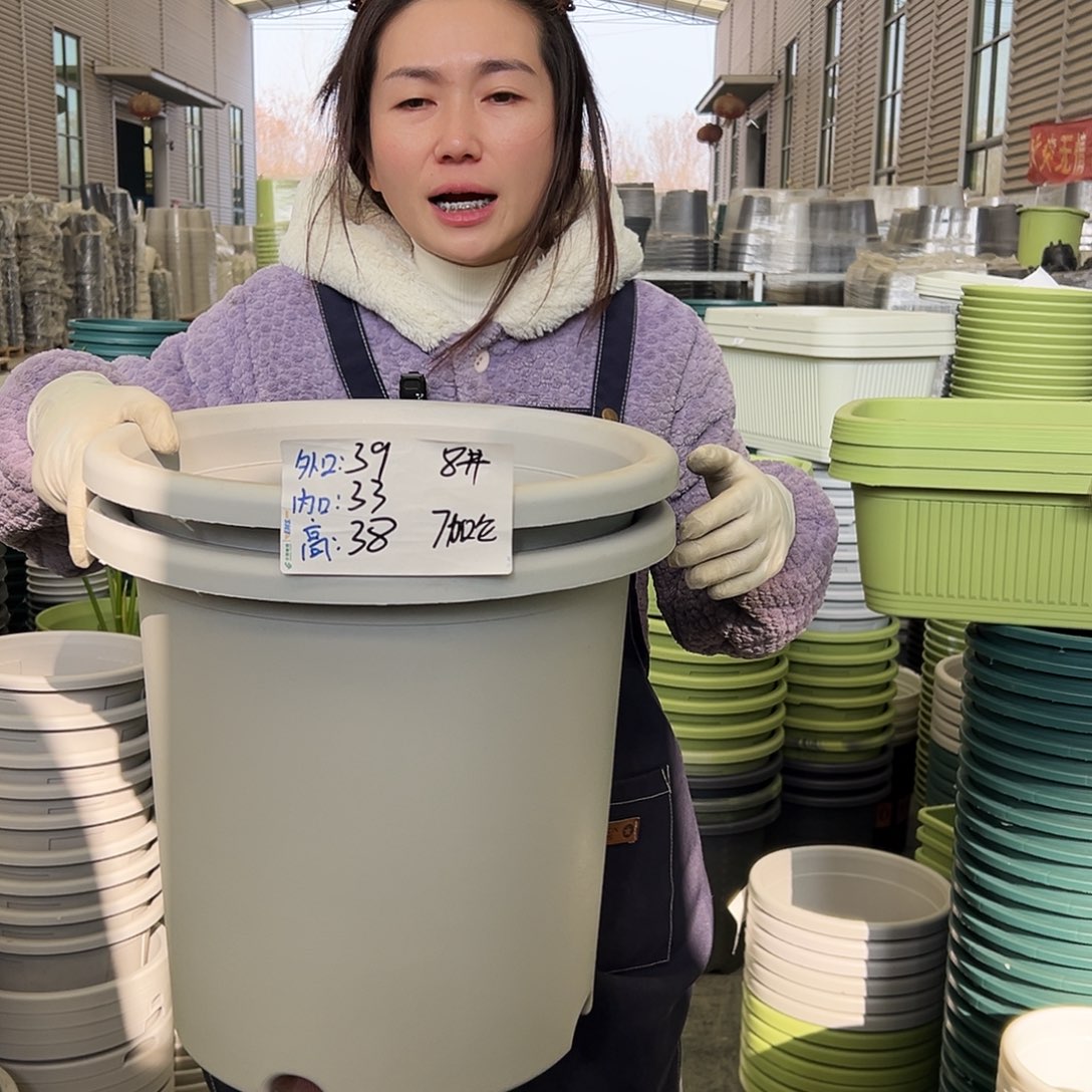 四季盆8#灰白5个无托