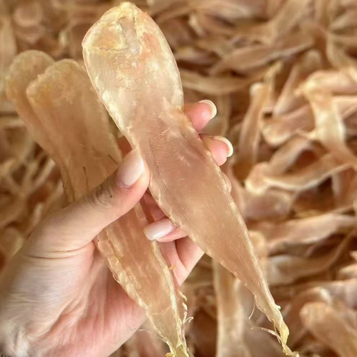 汕头南澳 本地自洗白花胶口感好无腥味 250g/500g