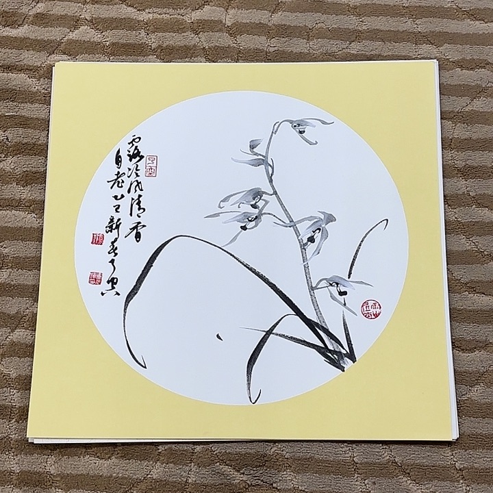 国画花鸟等多种鸟类和鸟类