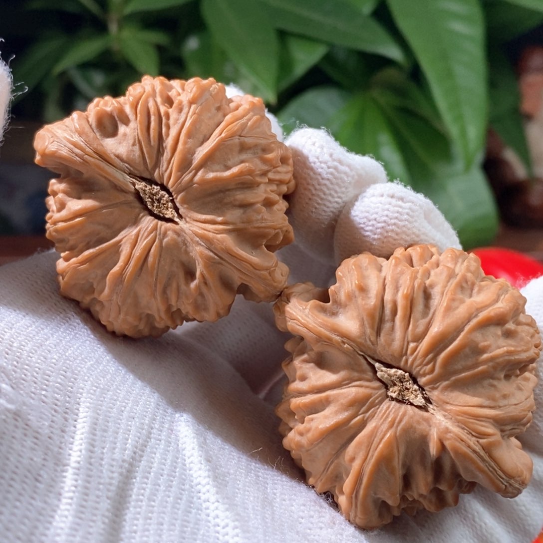 文玩核桃吊坠E****白狮子