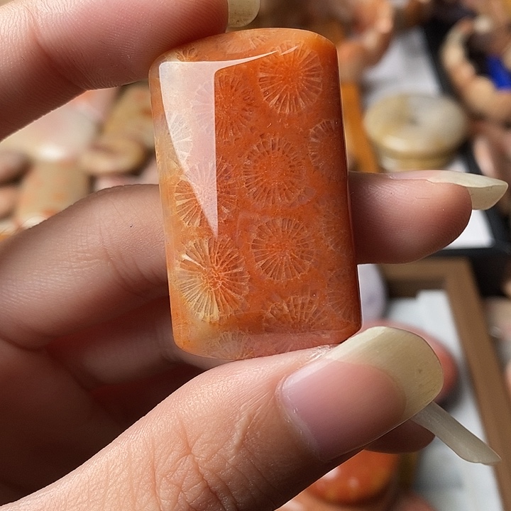 珍***儿硅化玉未镶嵌颈饰