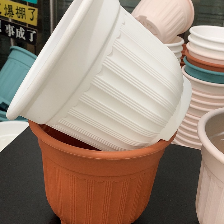 罗马口21高18白4个