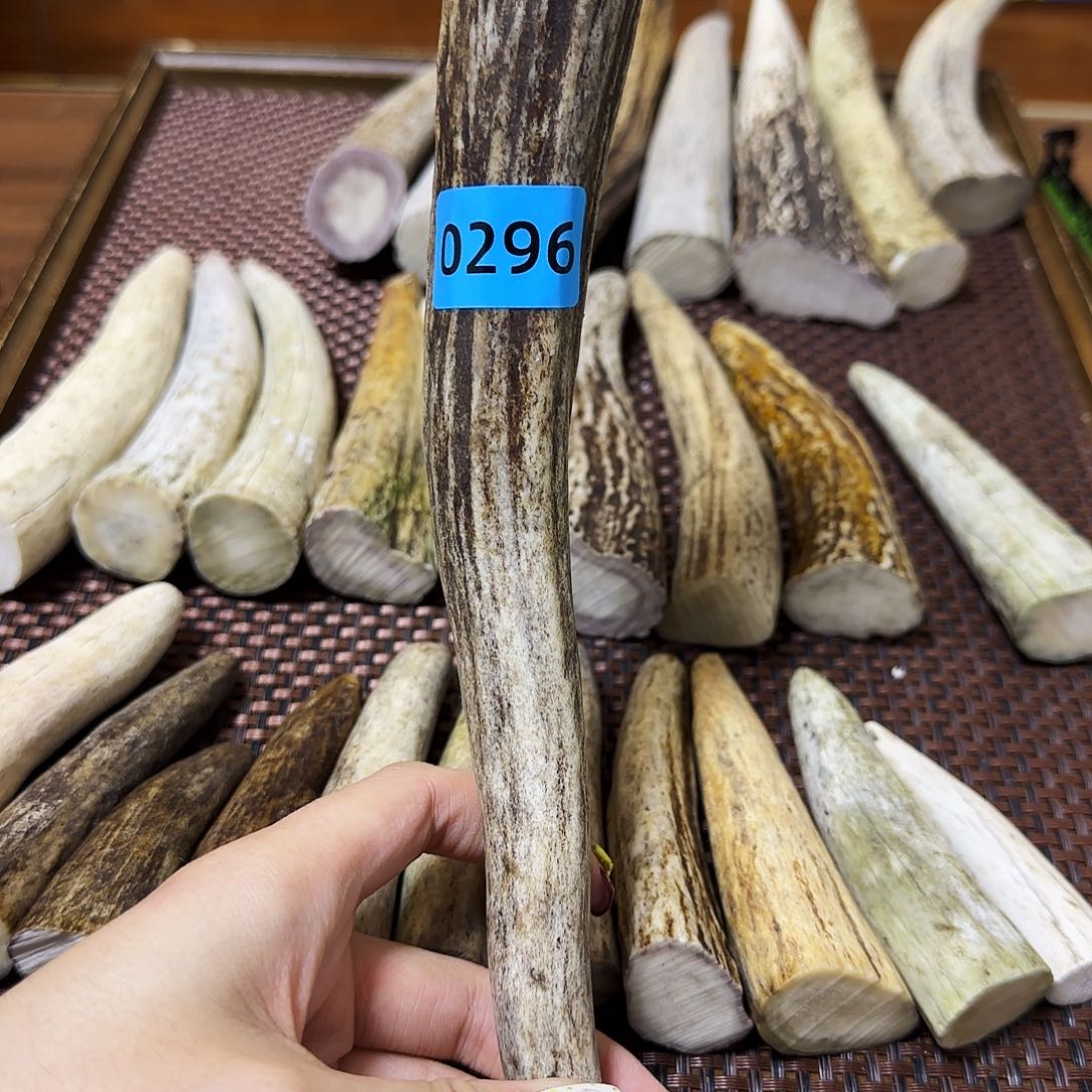 手串/手链鹿骨角尖0296