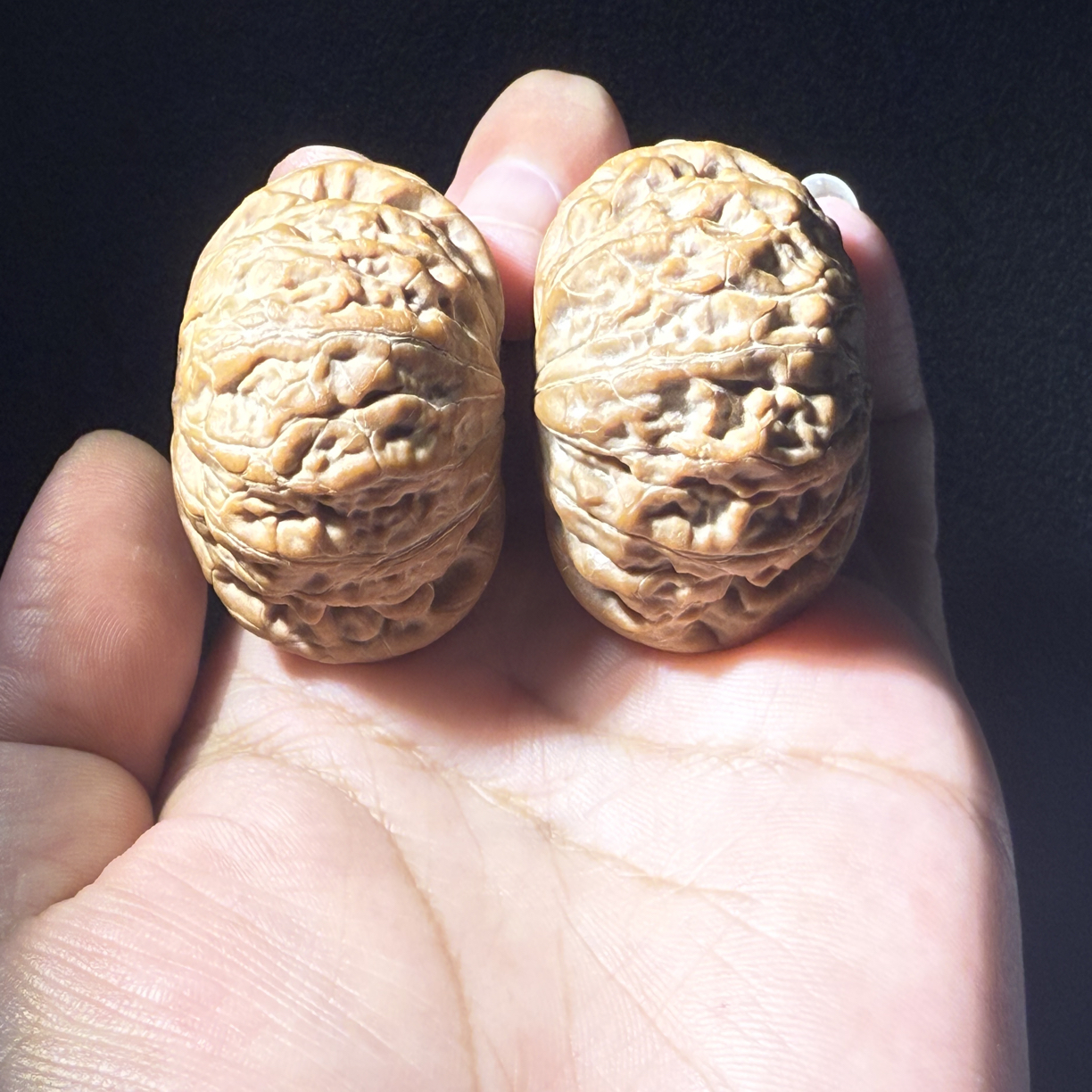货头铁锤核桃全品