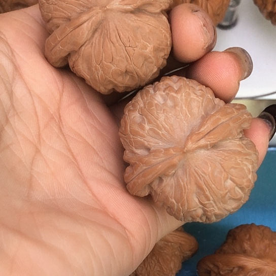 核桃文玩核桃元宝42全品