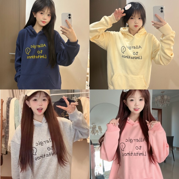 【Dandd秋冬定制】刺绣纯棉加绒加厚美式学院氛围感秋冬连帽卫衣