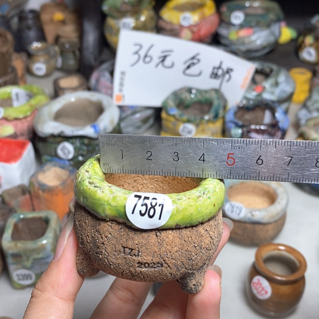 拍3送一个小礼物