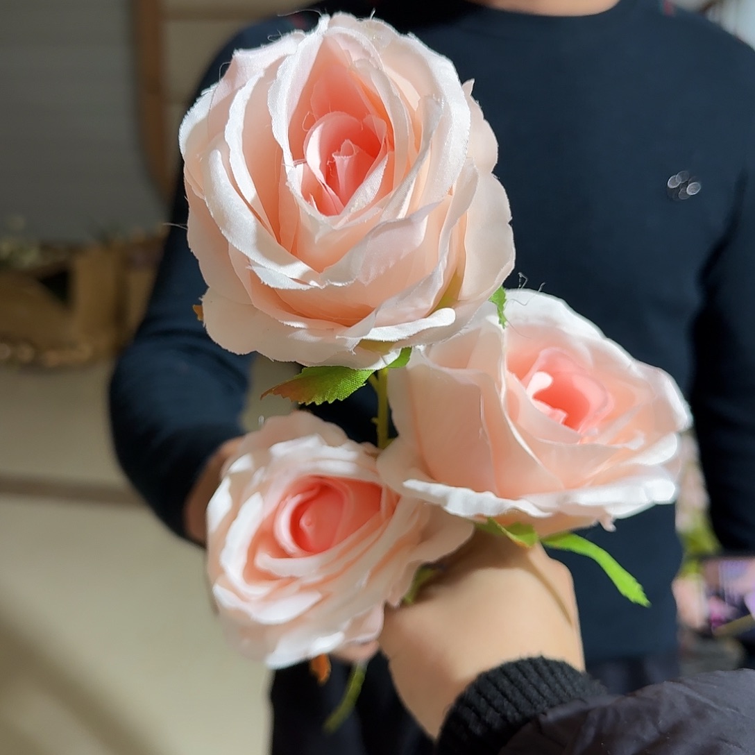 粉色三头玫瑰10支装