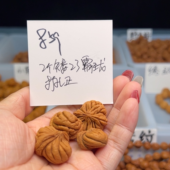 桃核把件君****。霸王龙23尺寸