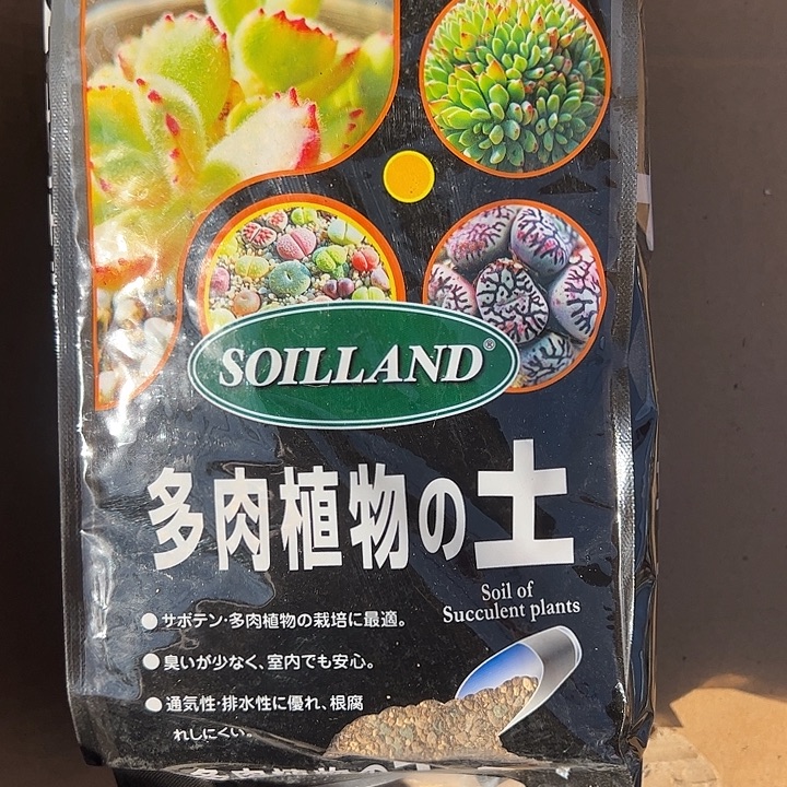 D***d两包颗粒土多肉植物