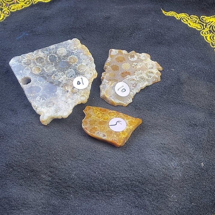 叶***王硅化玉未镶嵌颈饰